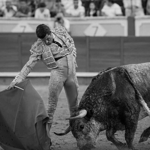 Cuenca 2024, Emilio de Justo