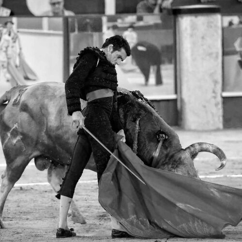 Málaga 2024, Emilio de Justo