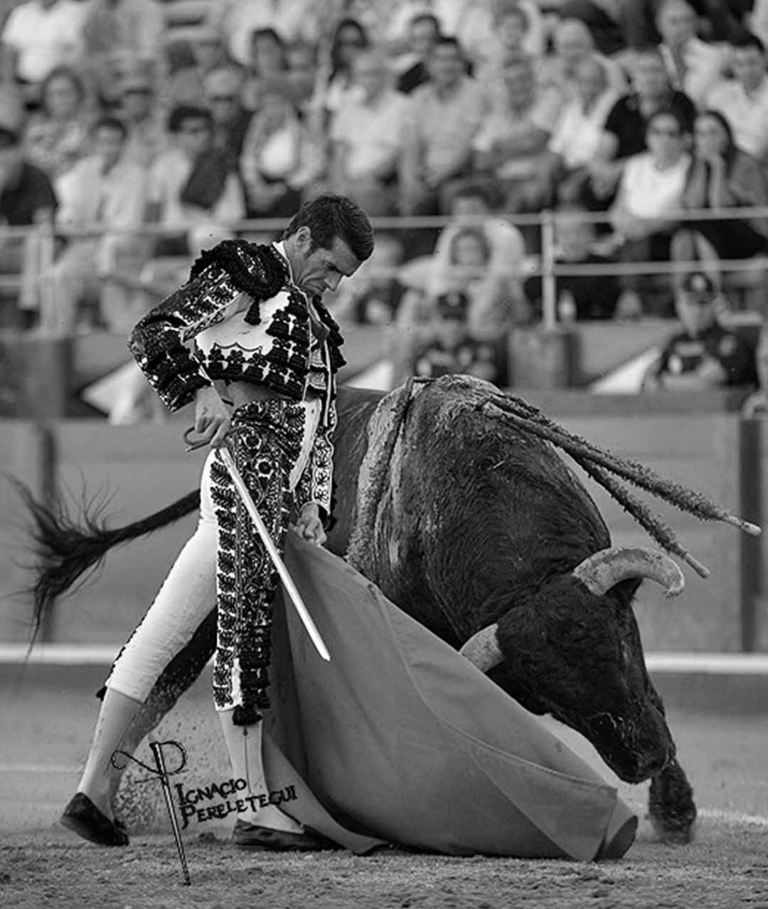 Salamanca 2024, Emilio de Justo