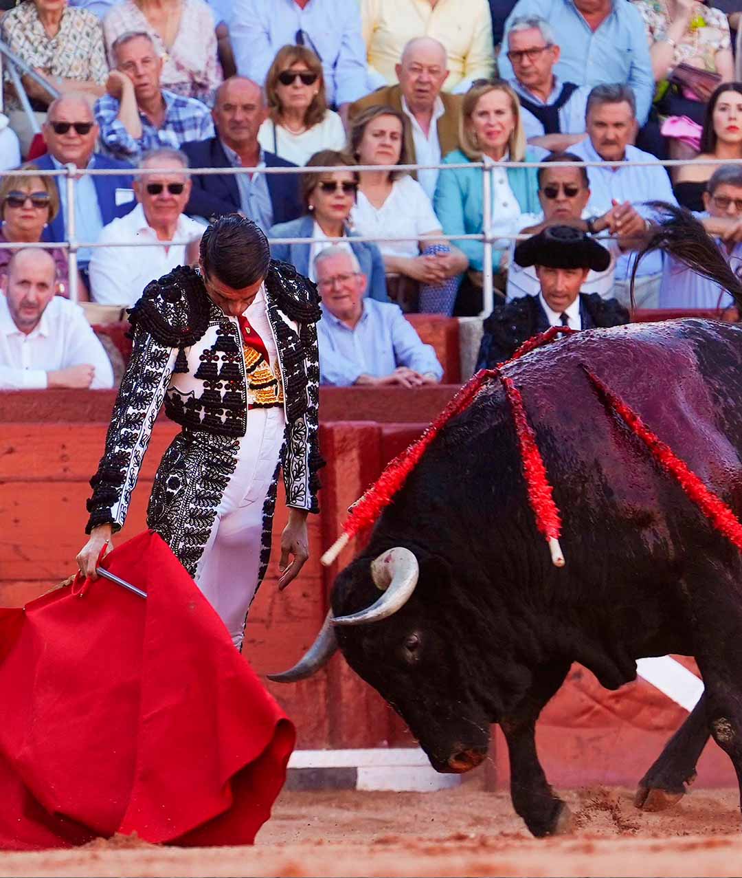 Salamanca 2024, Emilio de Justo