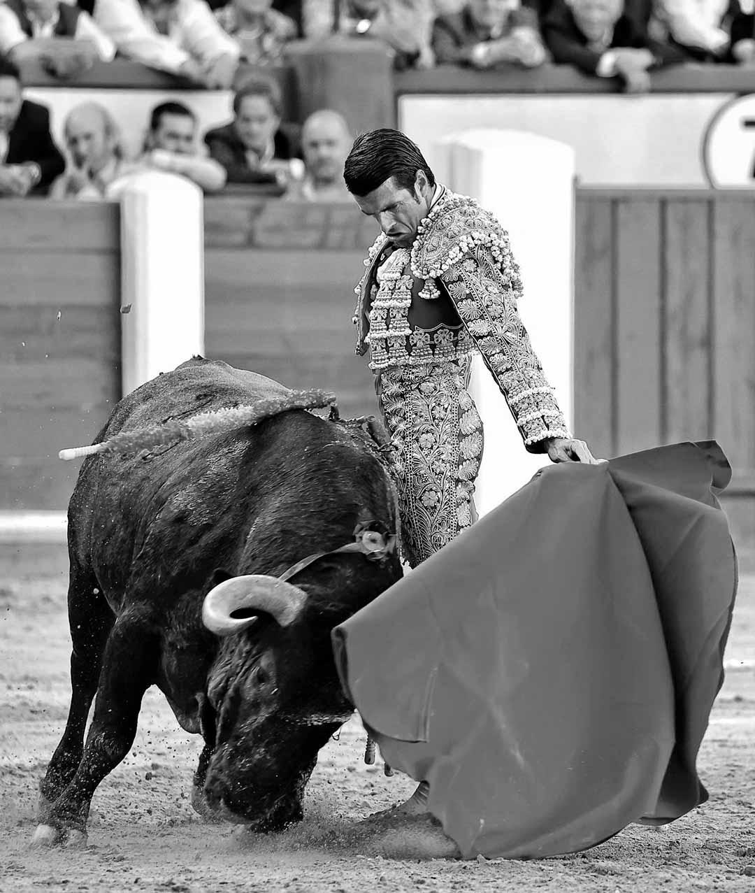 Valladolid 2024, Emilio de Justo