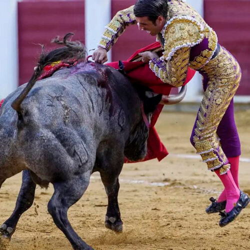 Valladolid 2024, Emilio de Justo