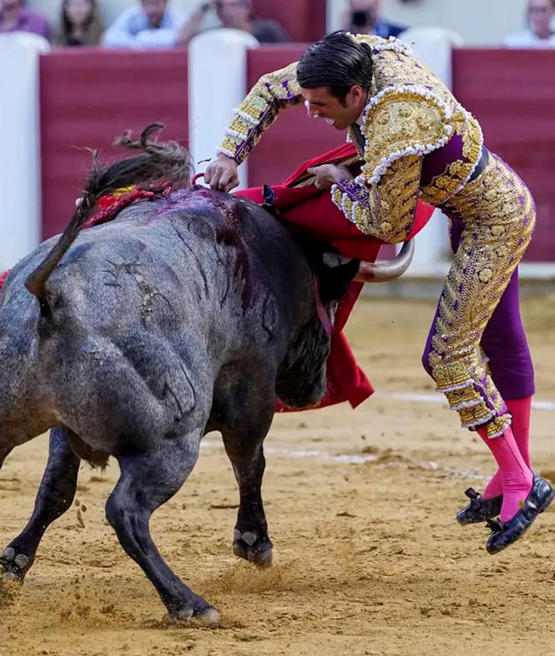 Valladolid 2024, Emilio de Justo