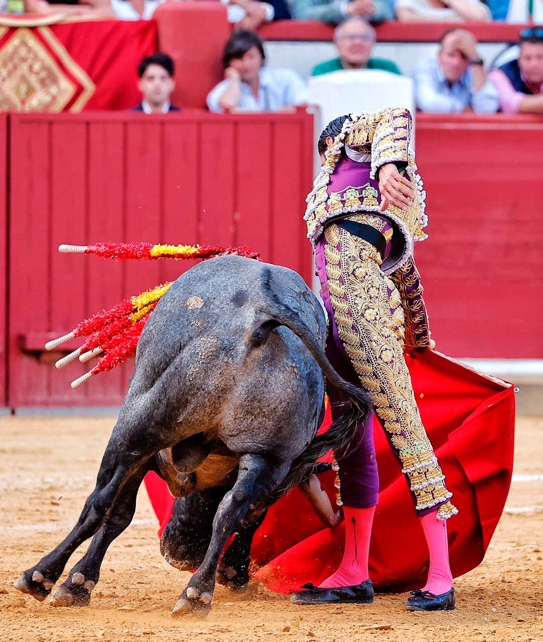 Valladolid 2024, Emilio de Justo