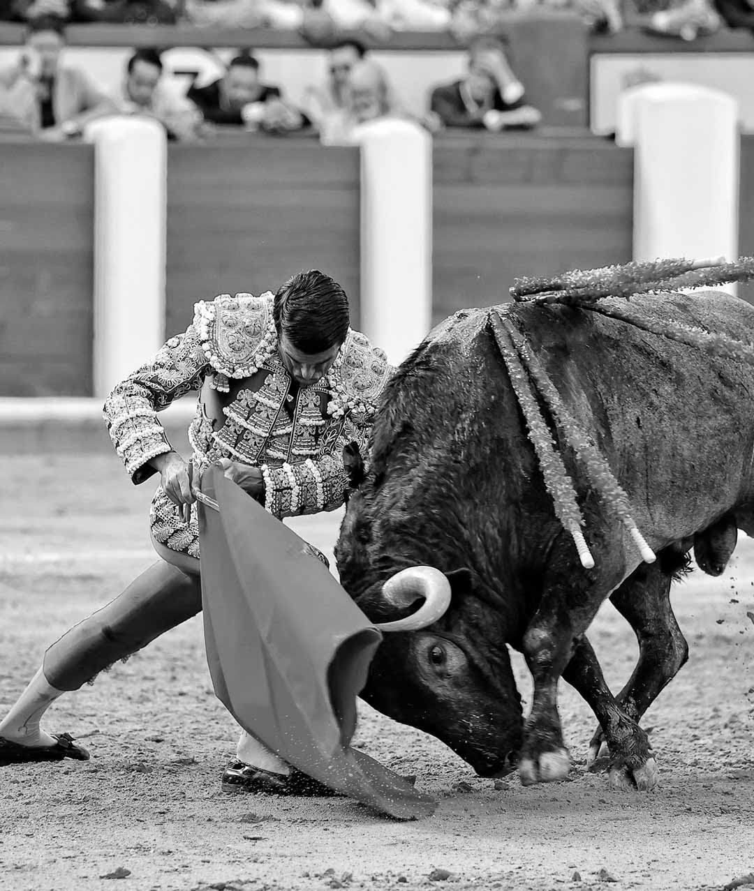 Valladolid 2024, Emilio de Justo